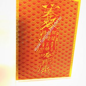 PLACA GUI REN