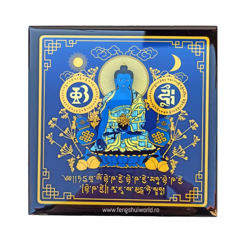 PLACA MEDICINE BUDDHA