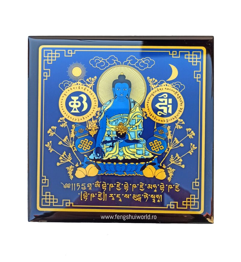 PLACA MEDICINE BUDDHA
